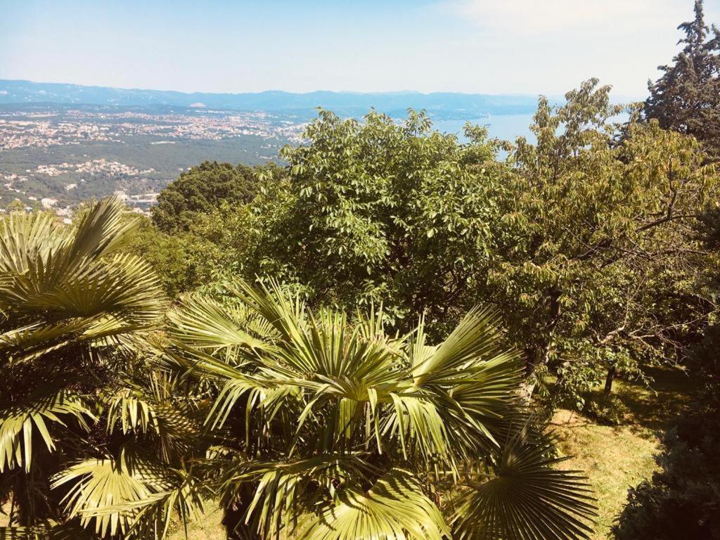 Luxury Apartment With Private Pool And 2 Bedrooms In Villa Opatija Bay View Exterior photo